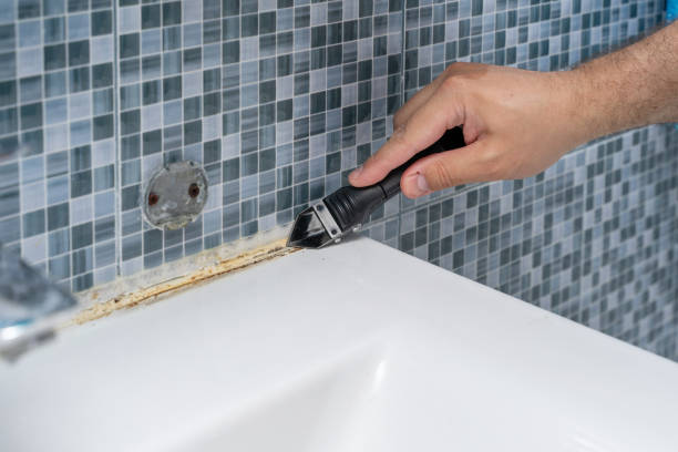 Reliable Justice, OK Mold Removal Solutions