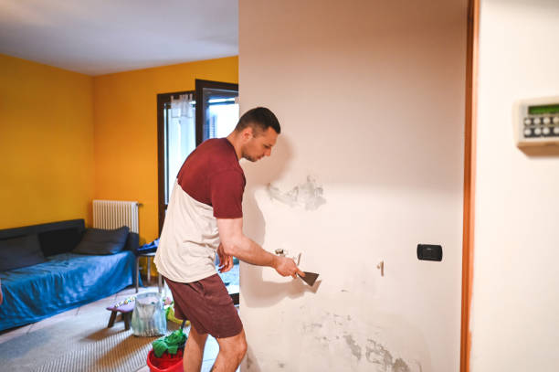Best Certified Mold Removal  in Justice, OK
